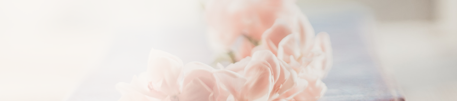 Närbild av mjuka, rosa blommor i suddigt ljus.